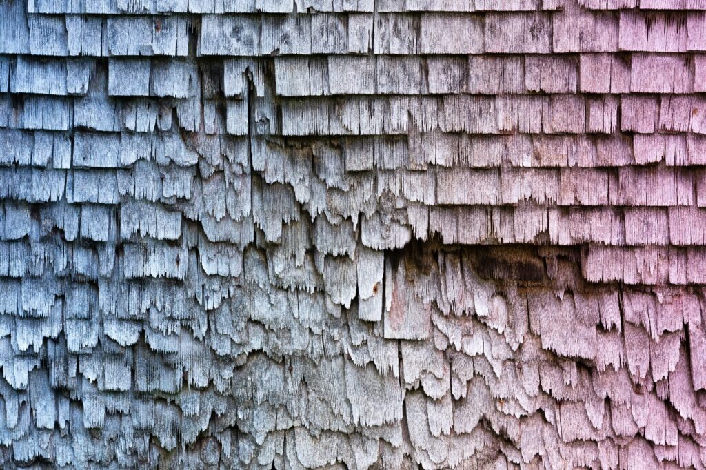 Damaged roof shingles